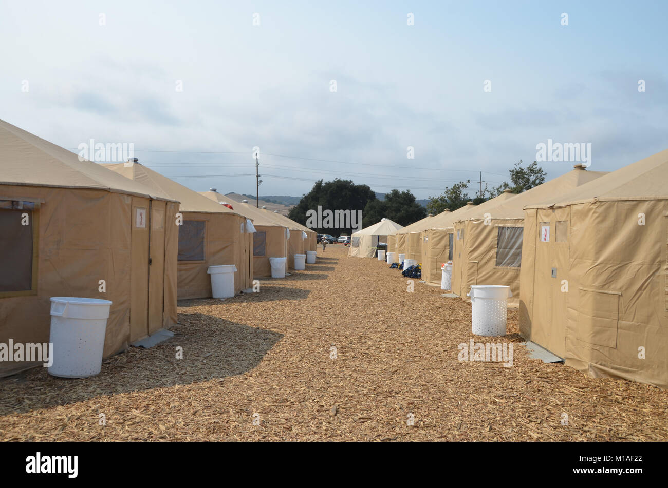 La Garde Nationale de Californie 578e bataillon du génie de la brigade et du 40e Bataillon de soutien Bridage déployer comme équipage main à l'appui de l'Soberanes incendie dans le comté de Monterey. Près de 400 soldats vivent au Toro County Park camp de base dans Salinas pendant leurs 29 jours, où tout, de l'équipement de sécurité incendie, l'hébergement et de loisirs est prévue pour eux. Chaque matin, les équipages des véhicules militaires voyage à divers points de chute sur la ligne de feu, de Carmel à Big Sur, pour travailler comme les pompiers et aider à contenir l'incendie 70 000 acres. Une fois sur un site, les soldats d'enfiler leur équipement de protection et de commencer Banque D'Images