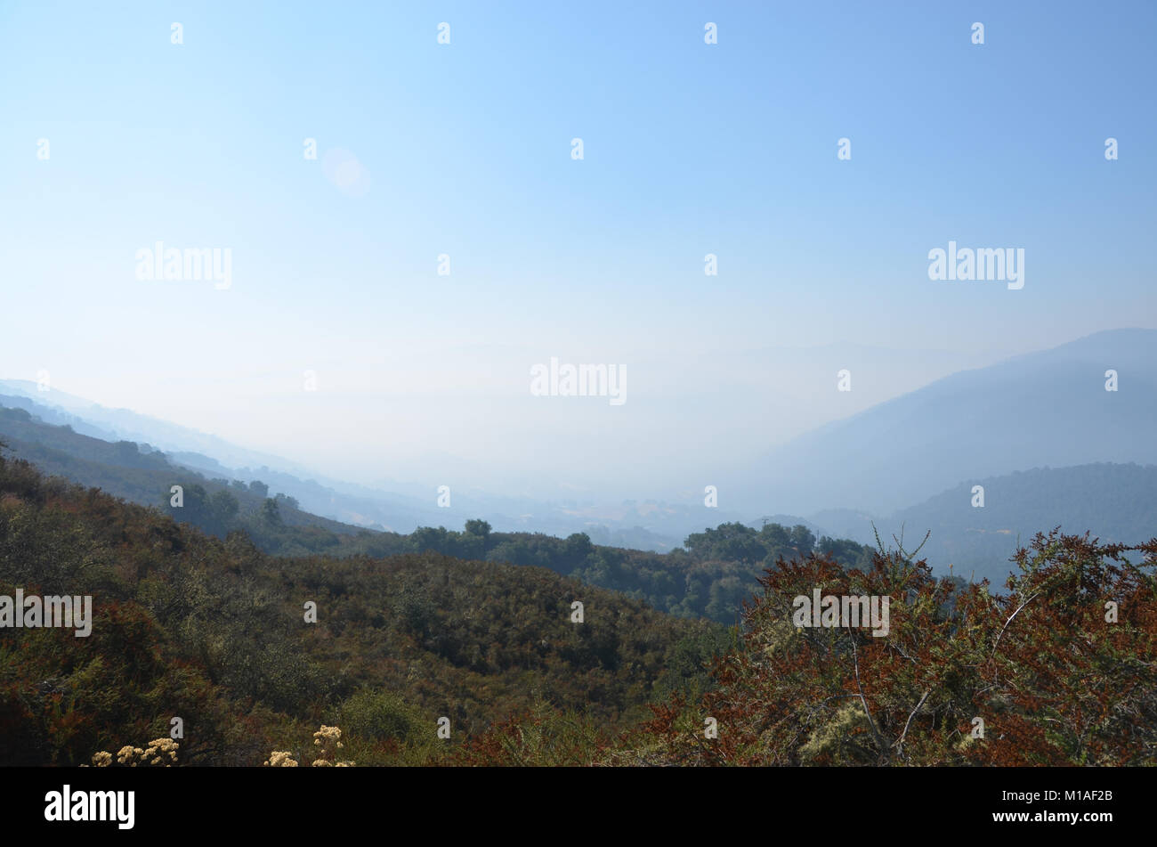 La Garde Nationale de Californie 578e bataillon du génie de la brigade et du 40e Bataillon de soutien Bridage déployer comme équipage main à l'appui de l'Soberanes incendie dans le comté de Monterey. Près de 400 soldats vivent au Toro County Park camp de base dans Salinas pendant leurs 29 jours, où tout, de l'équipement de sécurité incendie, l'hébergement et de loisirs est prévue pour eux. Chaque matin, les équipages des véhicules militaires voyage à divers points de chute sur la ligne de feu, de Carmel à Big Sur, pour travailler comme les pompiers et aider à contenir l'incendie 70 000 acres. Une fois sur un site, les soldats d'enfiler leur équipement de protection et de commencer Banque D'Images