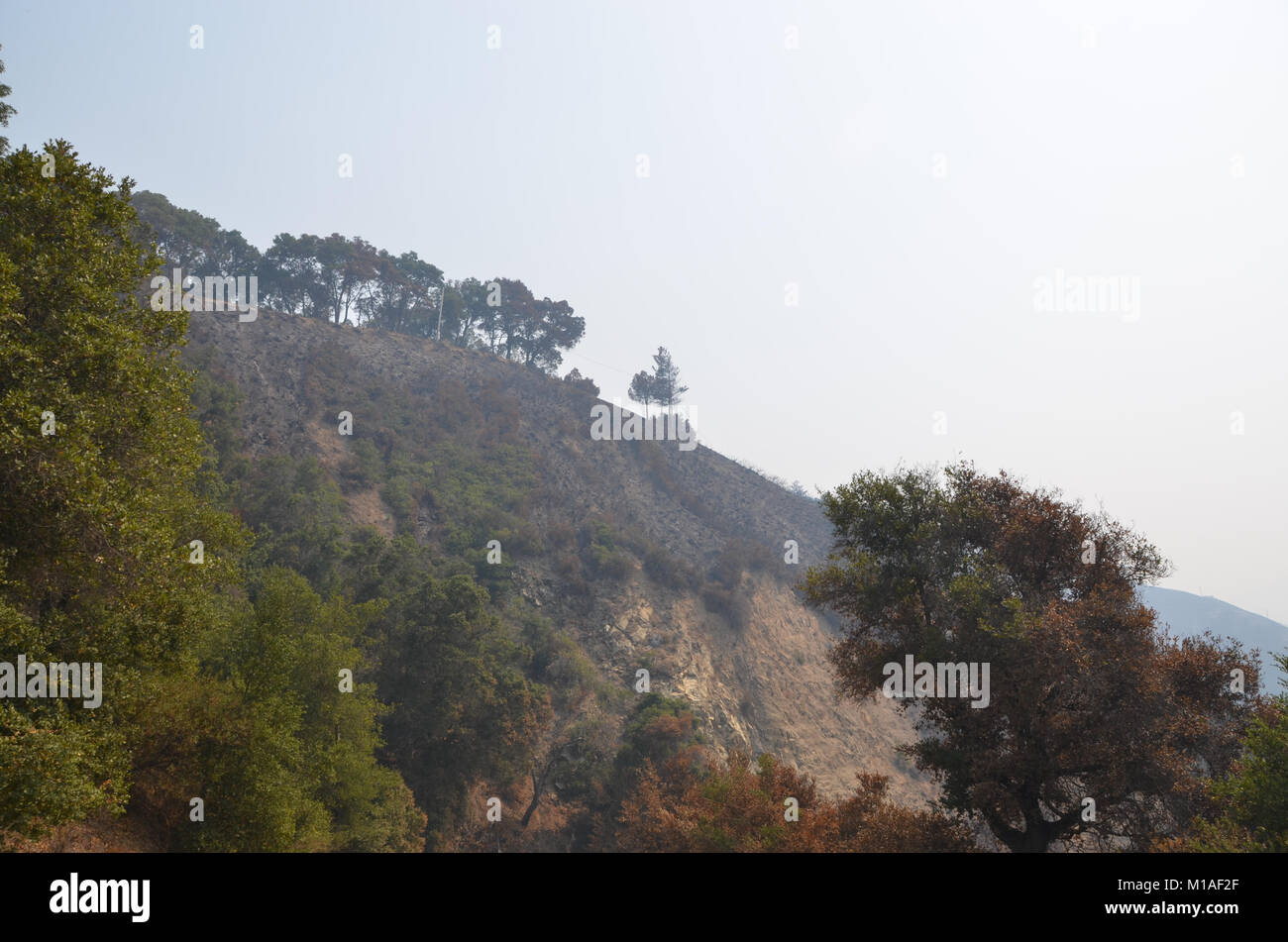 La Garde Nationale de Californie 578e bataillon du génie de la brigade et du 40e Bataillon de soutien Bridage déployer comme équipage main à l'appui de l'Soberanes incendie dans le comté de Monterey. Près de 400 soldats vivent au Toro County Park camp de base dans Salinas pendant leurs 29 jours, où tout, de l'équipement de sécurité incendie, l'hébergement et de loisirs est prévue pour eux. Chaque matin, les équipages des véhicules militaires voyage à divers points de chute sur la ligne de feu, de Carmel à Big Sur, pour travailler comme les pompiers et aider à contenir l'incendie 70 000 acres. Une fois sur un site, les soldats d'enfiler leur équipement de protection et de commencer Banque D'Images