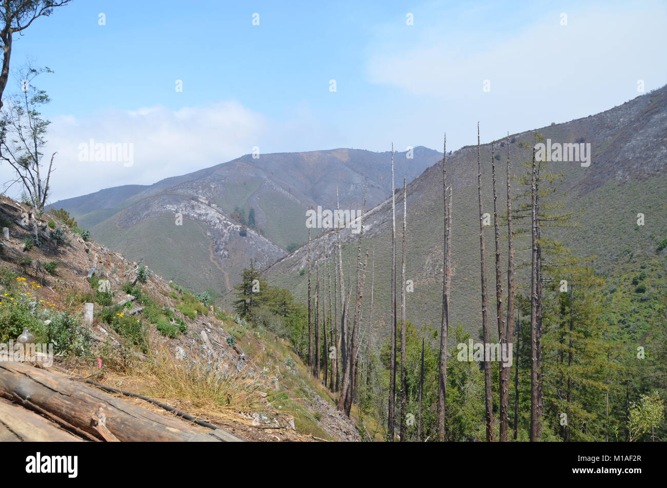 La Garde Nationale de Californie 578e bataillon du génie de la brigade et du 40e Bataillon de soutien Bridage déployer comme équipage main à l'appui de l'Soberanes incendie dans le comté de Monterey. Près de 400 soldats vivent au Toro County Park camp de base dans Salinas pendant leurs 29 jours, où tout, de l'équipement de sécurité incendie, l'hébergement et de loisirs est prévue pour eux. Chaque matin, les équipages des véhicules militaires voyage à divers points de chute sur la ligne de feu, de Carmel à Big Sur, pour travailler comme les pompiers et aider à contenir l'incendie 70 000 acres. Une fois sur un site, les soldats d'enfiler leur équipement de protection et de commencer Banque D'Images