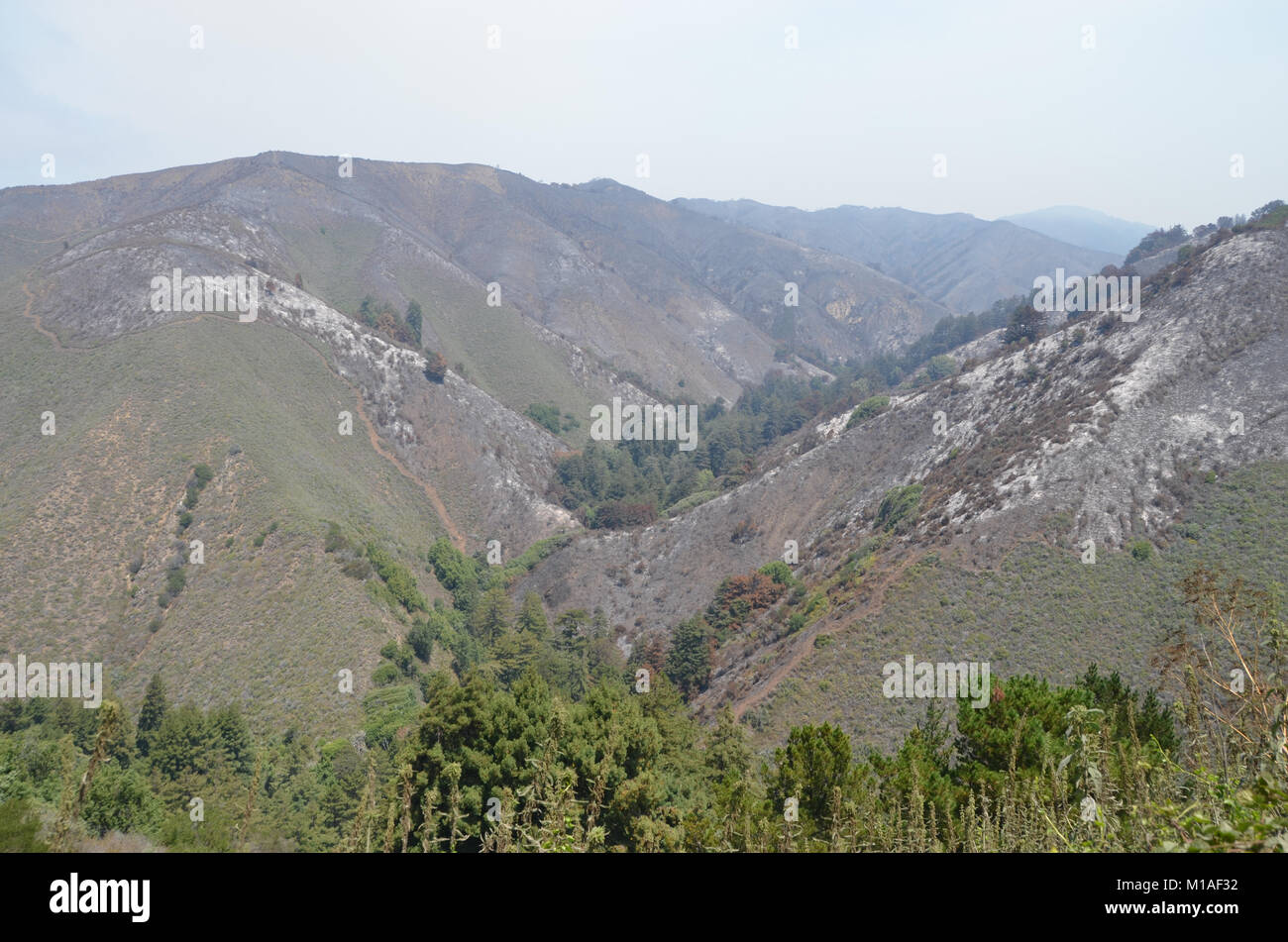 La Garde Nationale de Californie 578e bataillon du génie de la brigade et du 40e Bataillon de soutien Bridage déployer comme équipage main à l'appui de l'Soberanes incendie dans le comté de Monterey. Près de 400 soldats vivent au Toro County Park camp de base dans Salinas pendant leurs 29 jours, où tout, de l'équipement de sécurité incendie, l'hébergement et de loisirs est prévue pour eux. Chaque matin, les équipages des véhicules militaires voyage à divers points de chute sur la ligne de feu, de Carmel à Big Sur, pour travailler comme les pompiers et aider à contenir l'incendie 70 000 acres. Une fois sur un site, les soldats d'enfiler leur équipement de protection et de commencer Banque D'Images