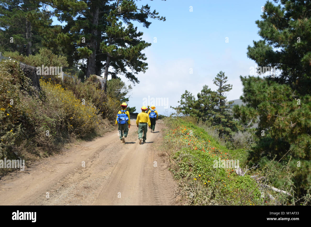 La Garde Nationale de Californie 578e bataillon du génie de la brigade et du 40e Bataillon de soutien Bridage déployer comme équipage main à l'appui de l'Soberanes incendie dans le comté de Monterey. Près de 400 soldats vivent au Toro County Park camp de base dans Salinas pendant leurs 29 jours, où tout, de l'équipement de sécurité incendie, l'hébergement et de loisirs est prévue pour eux. Chaque matin, les équipages des véhicules militaires voyage à divers points de chute sur la ligne de feu, de Carmel à Big Sur, pour travailler comme les pompiers et aider à contenir l'incendie 70 000 acres. Une fois sur un site, les soldats d'enfiler leur équipement de protection et de commencer Banque D'Images