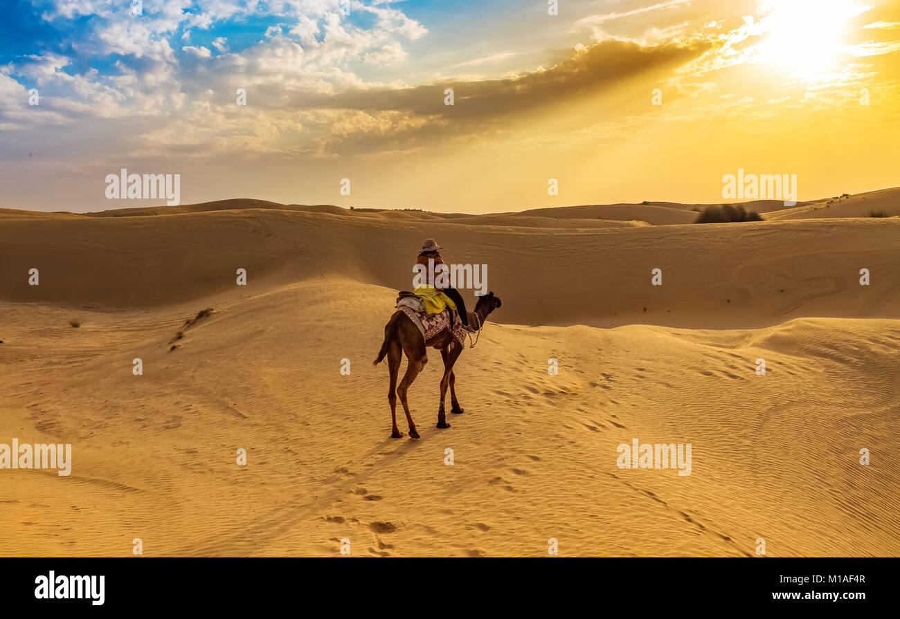 Profitez du tourisme en chameau dans le désert de Thar, Jaisalmer Rajasthan au coucher du soleil avec moody sky. Banque D'Images