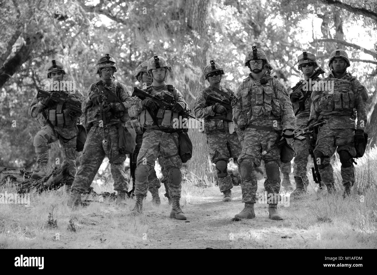 La Garde Nationale de Californie Des soldats du 1er bataillon du 184ème régiment d'infanterie, mener la lutte contre la formation dans l'insertion et l'extraction de l'hélicoptère, mouvement de contacter, et des capacités des opérations de dégagement à Fort Hunter Liggett, Californie, 14-28 juillet 2013, dans le cadre de leur formation annuelle. UH-60 Black Hawk de la 1-140ème bataillon de l'Aviation (Air Assault) a fourni le transport aérien aux troupes qui sont normalement connus pour marcher partout où ils vont. Banque D'Images