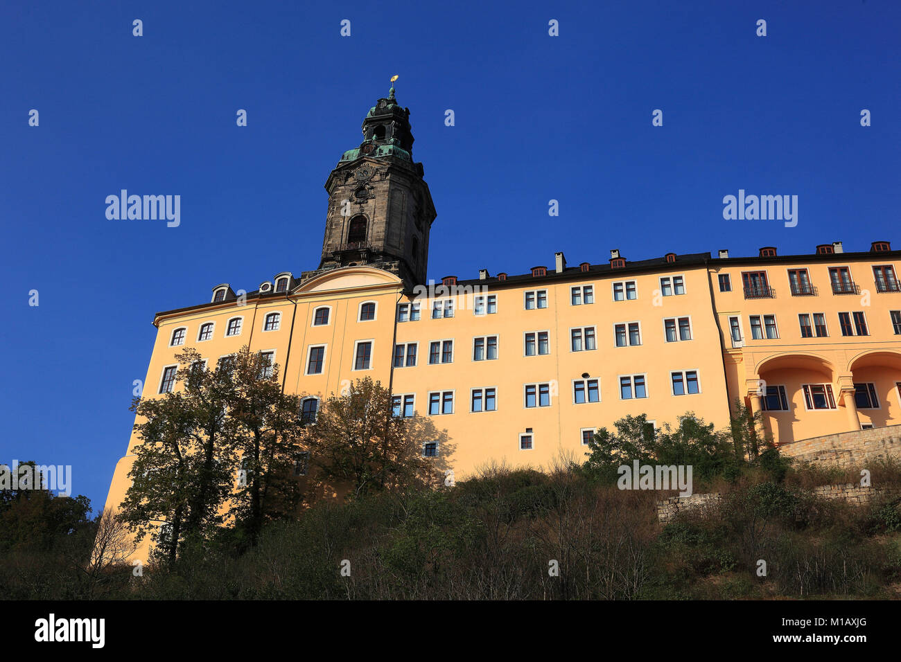 Château Heidecksburg fut la résidence des princes de Schwarzbourg-rudolstadt à Rudolstadt, Land de Thuringe, Allemagne Banque D'Images