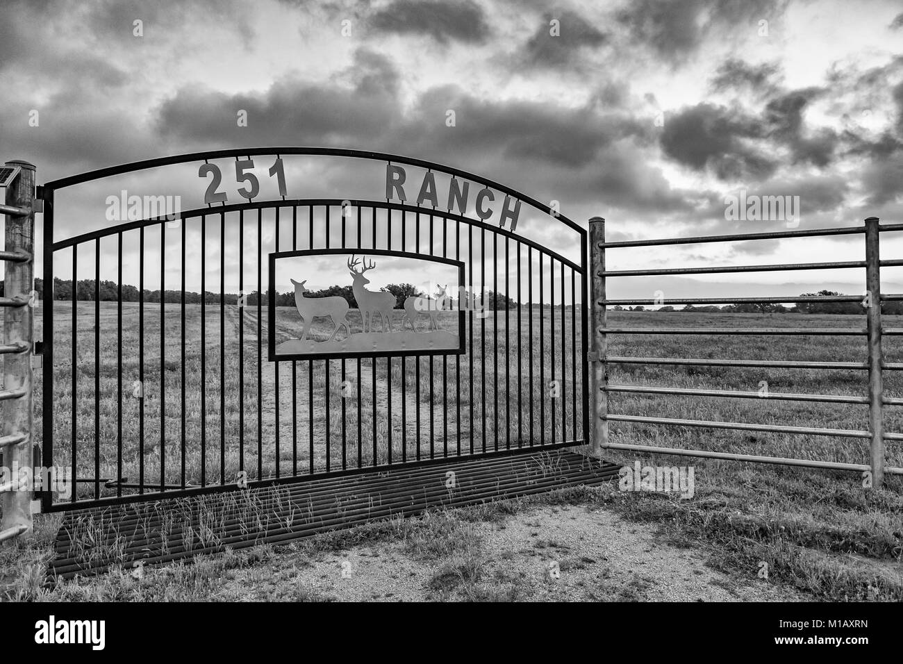 Texas Hill Country,, Gillespie Comté, vue de Willow City Loop Road, '251 Ranch' gate, monochrome Banque D'Images