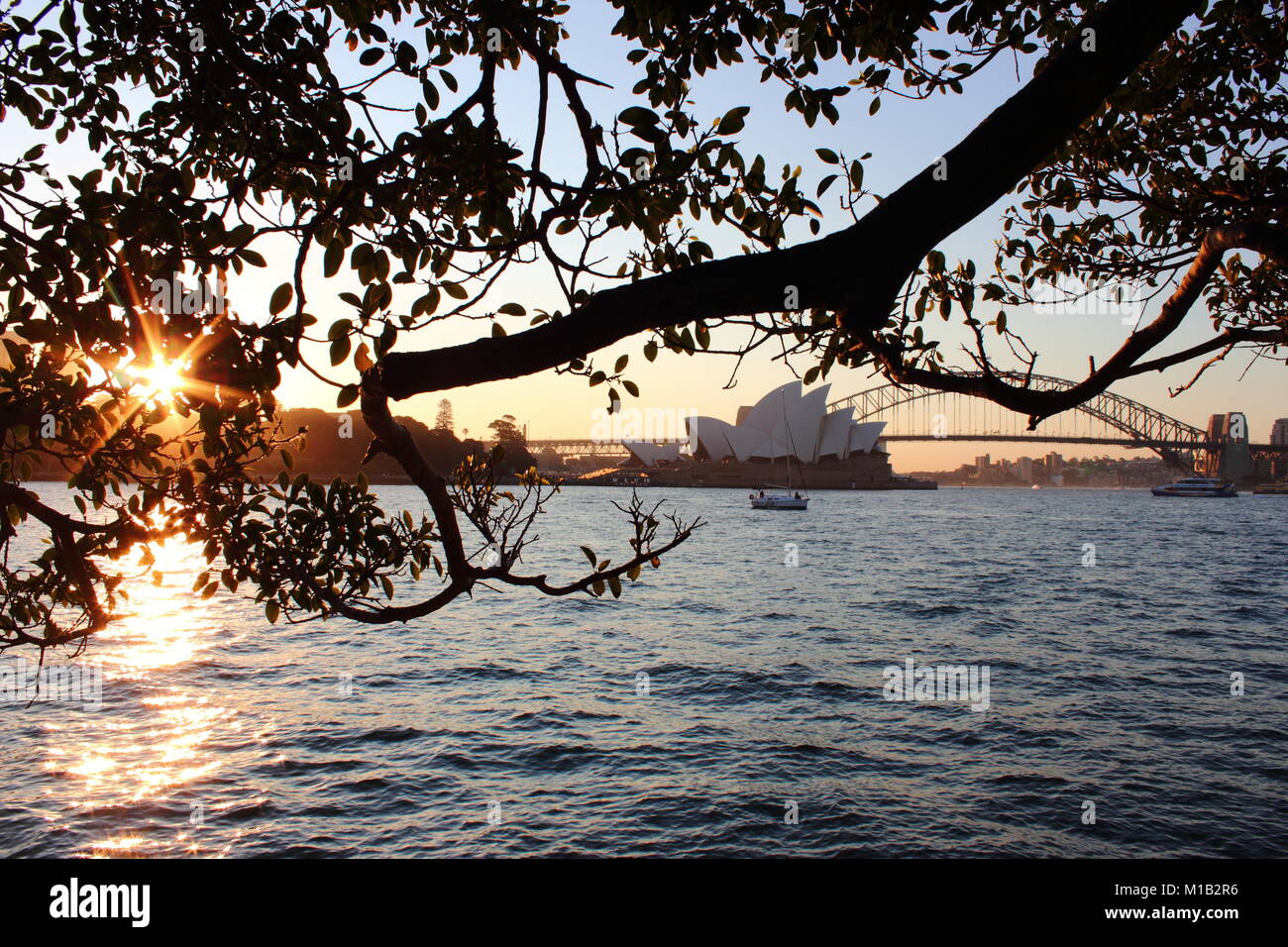 Sydney Oper et le Harbour Bridge au coucher du soleil Banque D'Images