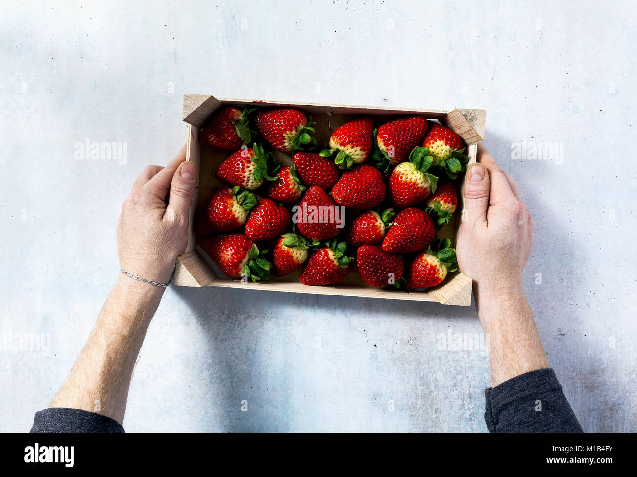 Les mains des hommes détiennent une boîte en bois avec pile de mûres juteuses fraises biologiques commercialisés sur le marché . Banque D'Images