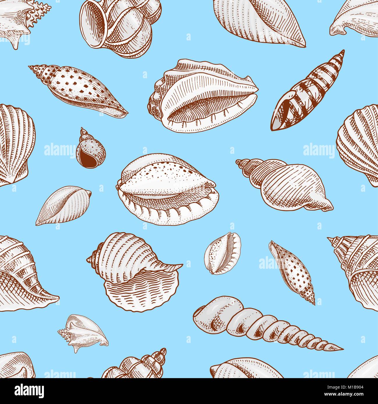 Modèle sans couture, coquilles ou mollusques différentes formes. créature marine. gravés à la main dans de vieux croquis, vintage style. milles marins ou marine, Monster ou l'alimentation. les animaux dans l'océan. Illustration de Vecteur