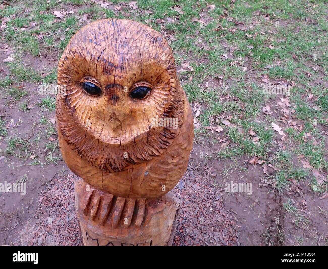 Chouette en chêne sculpté : animaux par kampboise
