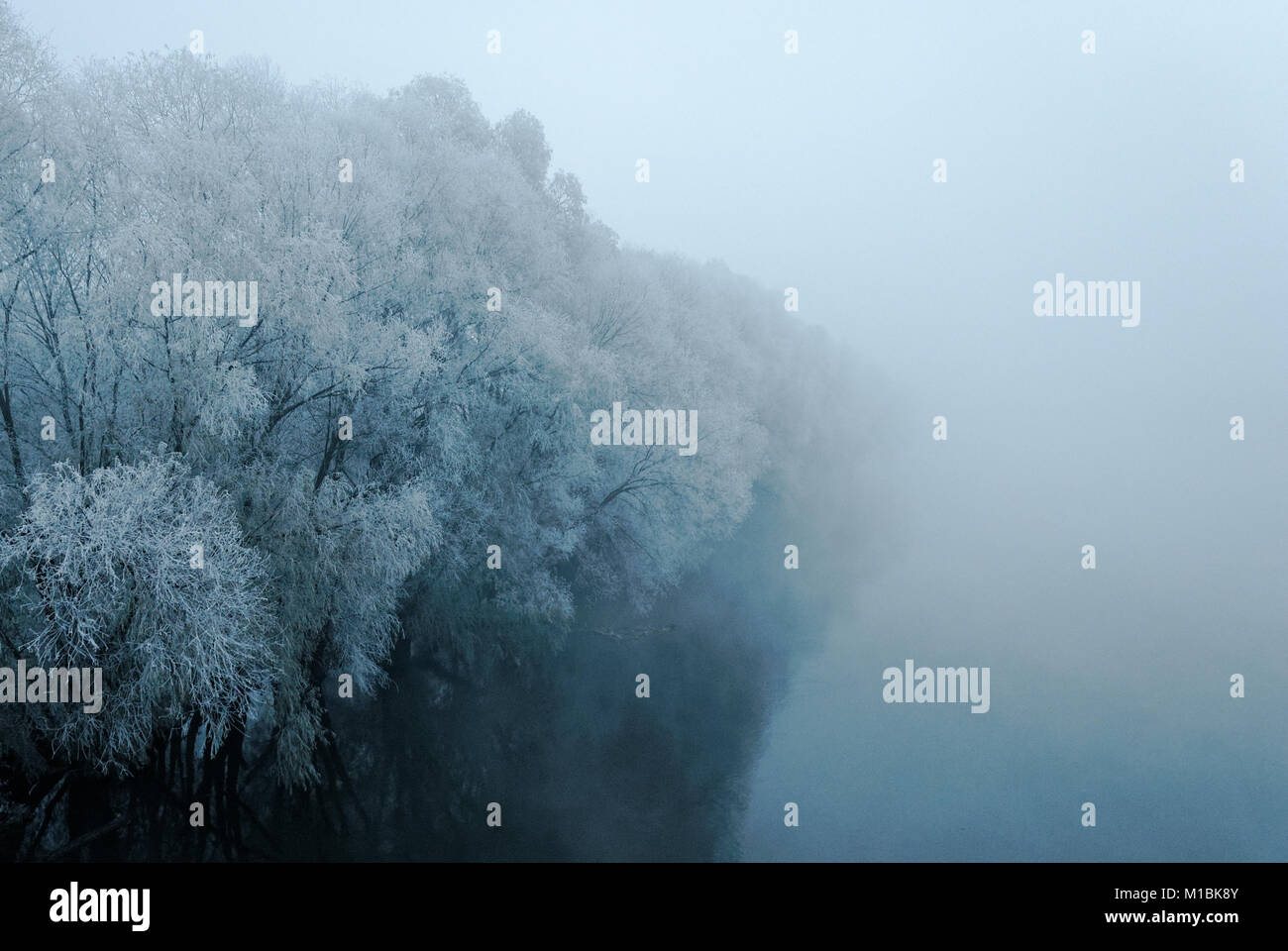 Des arbres couverts de givre, émergeant de la brume Banque D'Images