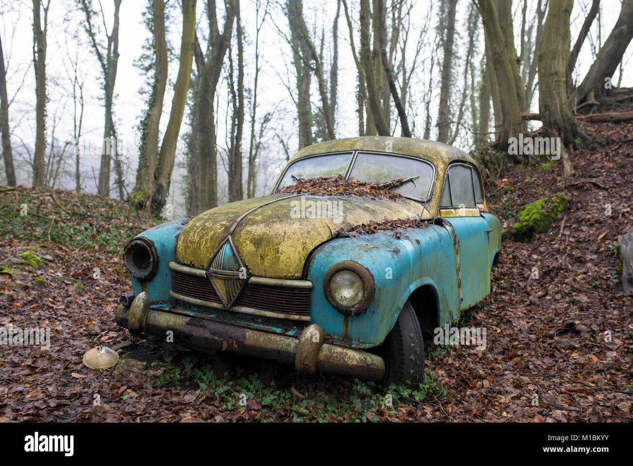 Classic vintage en décomposition carcasse de voiture dans une forêt en automne Banque D'Images