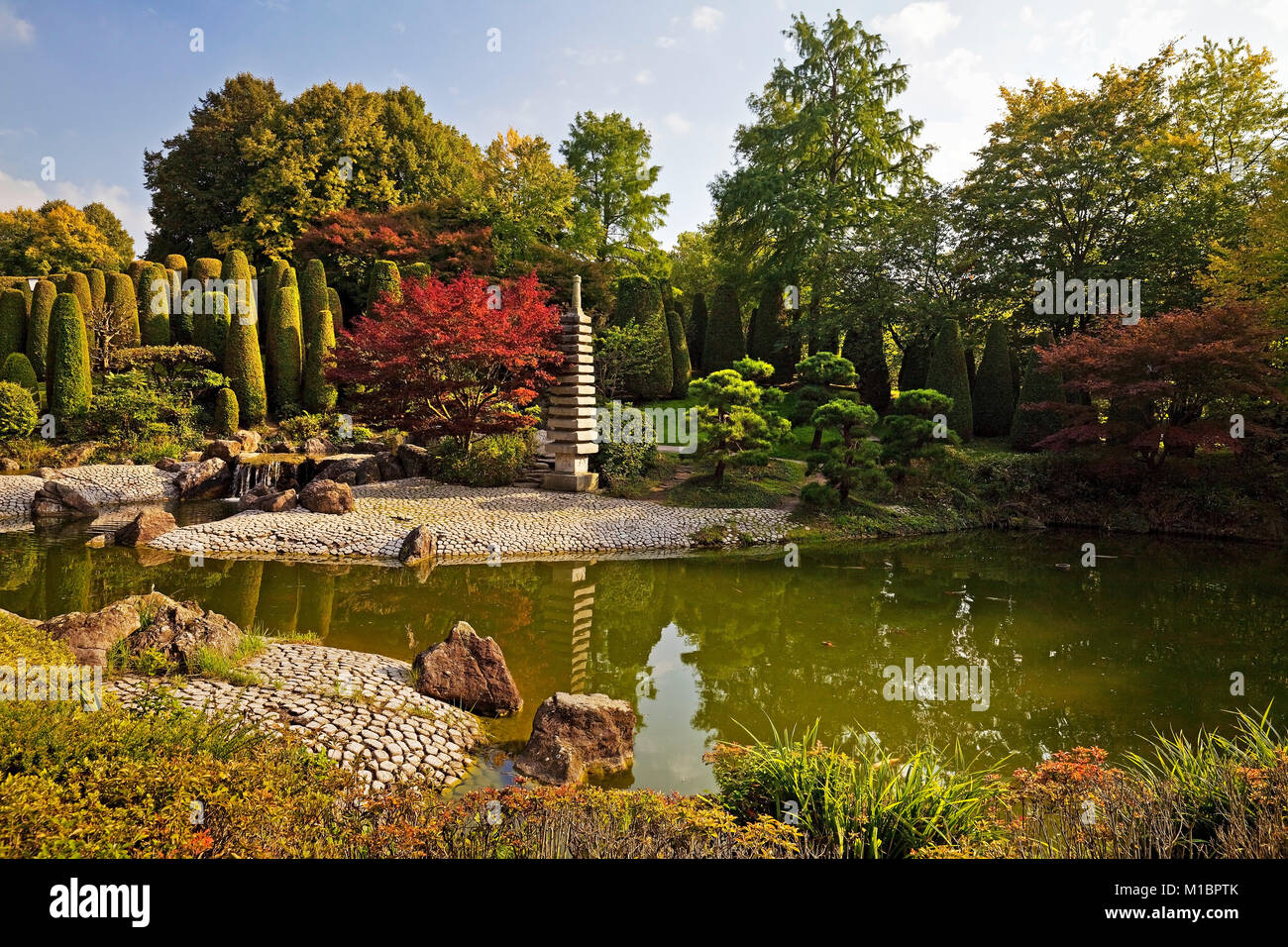 Jardin japonais, Rheinaue, Bonn, Rhénanie du Nord-Westphalie, Allemagne Banque D'Images