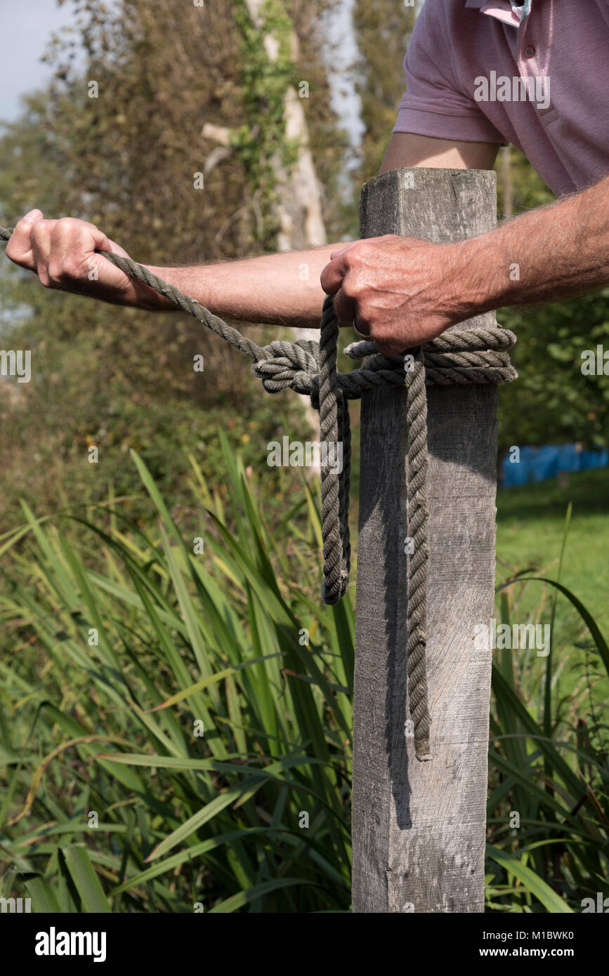 Ligne de mouillage qui se tient entre les mains de l'homme est attaché à un poteau avec un tour mort et deux demi-clefs knot Banque D'Images