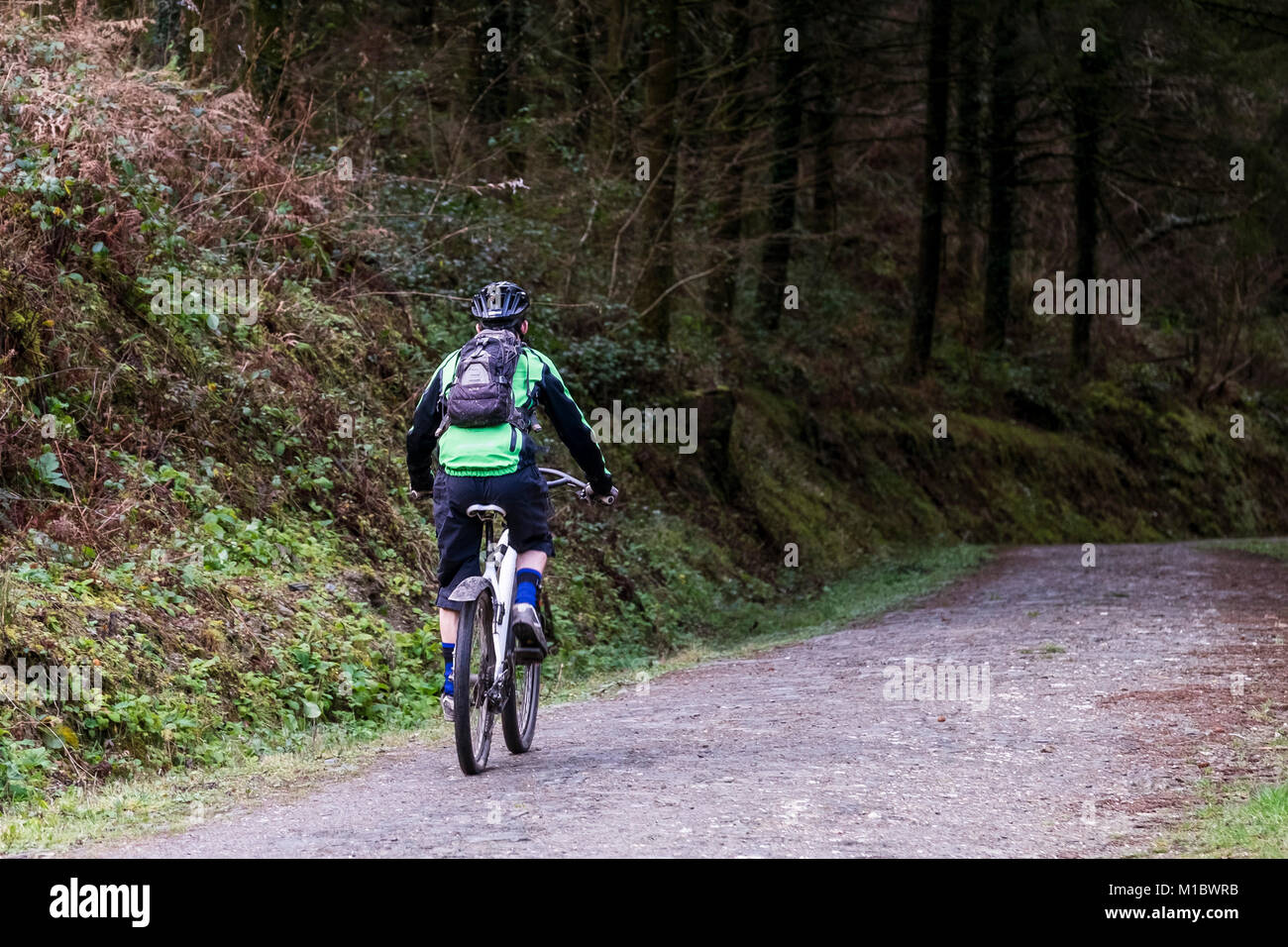 Un vélo de montagne équitation le long d'un sentier à Cardinham Woods Bodmin Cornwall. Banque D'Images