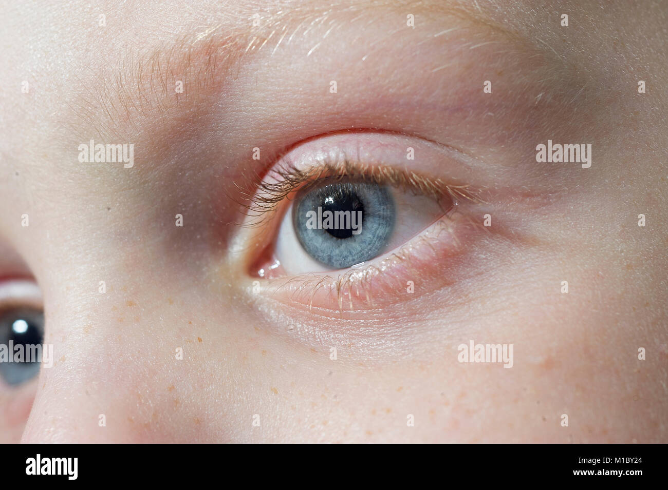 Un enfant aux yeux bleus regardant la télévision Banque D'Images