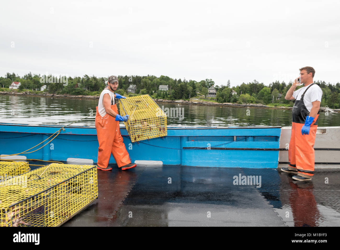 Capitaine de bateau de pêche du homard sur téléphone cellulaire comme sternman définit les pièges. Chebeague Island, Casco Bay, Maine Banque D'Images