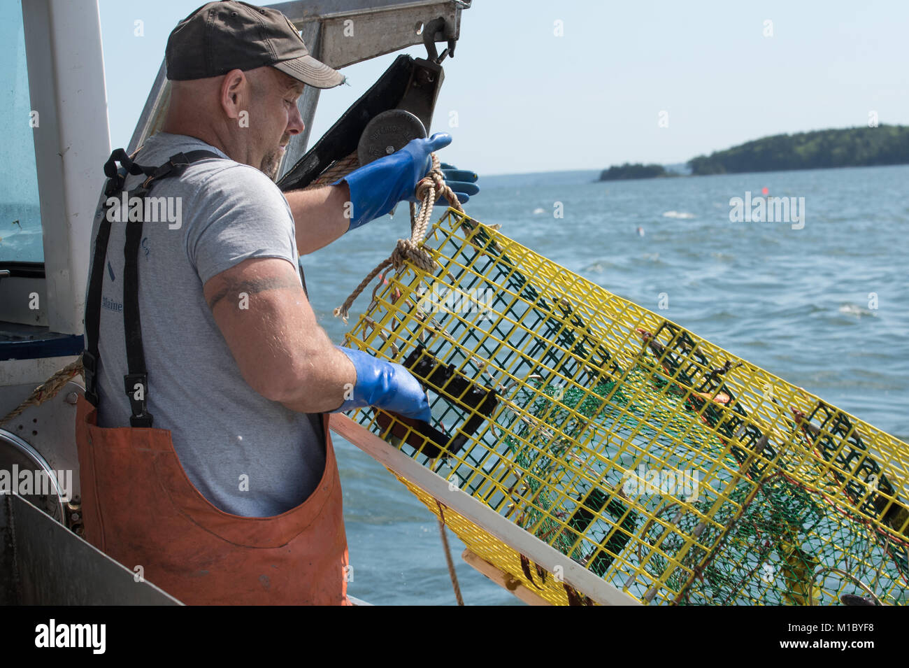 Lobster boat captain transporte à bord. Piège Chebeague Island, Casco Bay, Maine Banque D'Images