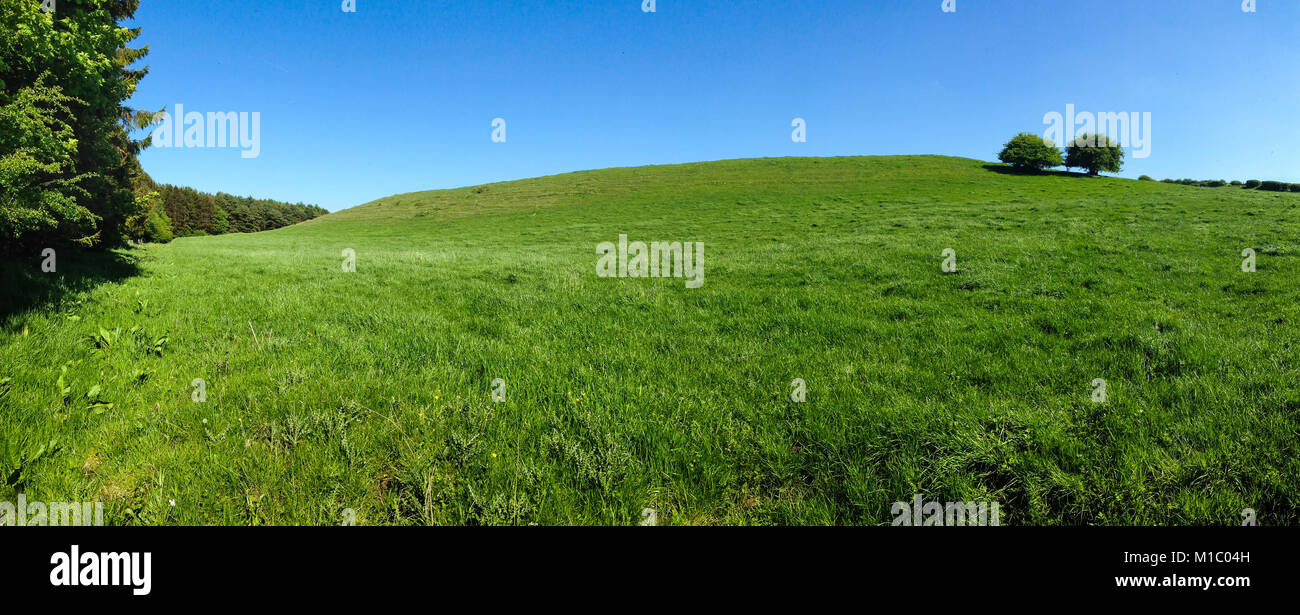 Pig Hill, paysage typiquement anglais. Banque D'Images