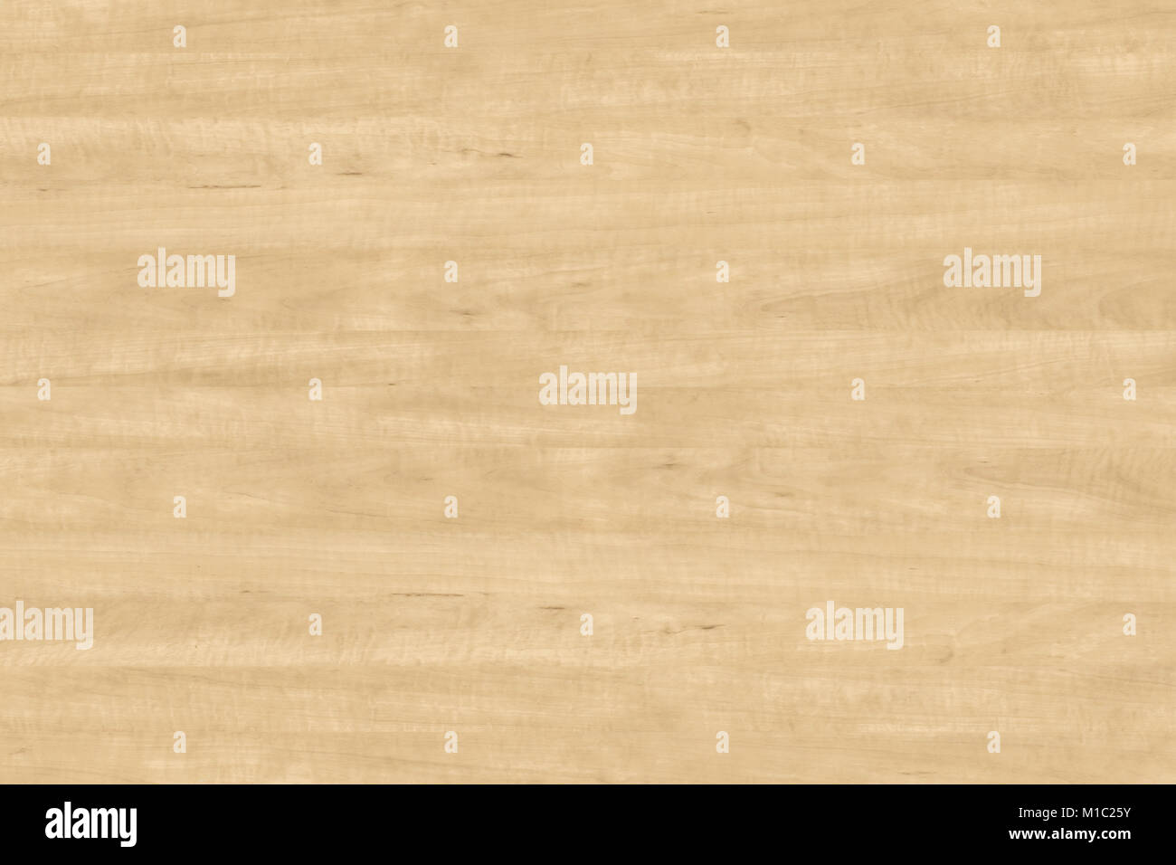 Texture bois avec motif naturel Banque D'Images