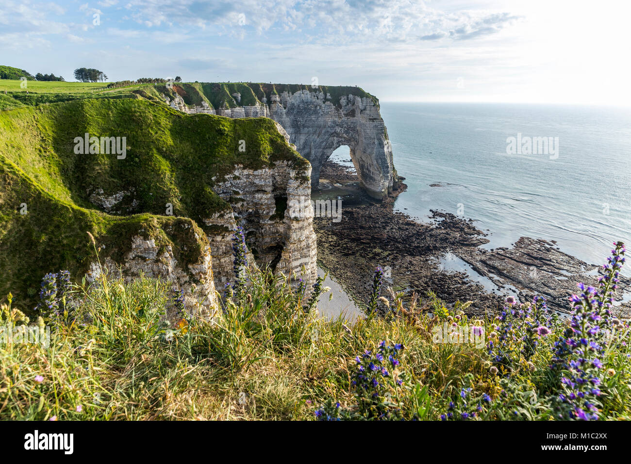 Chemin des Douaniers, Étretat, Seine-Maritime, Normandie, France, Europe. Banque D'Images