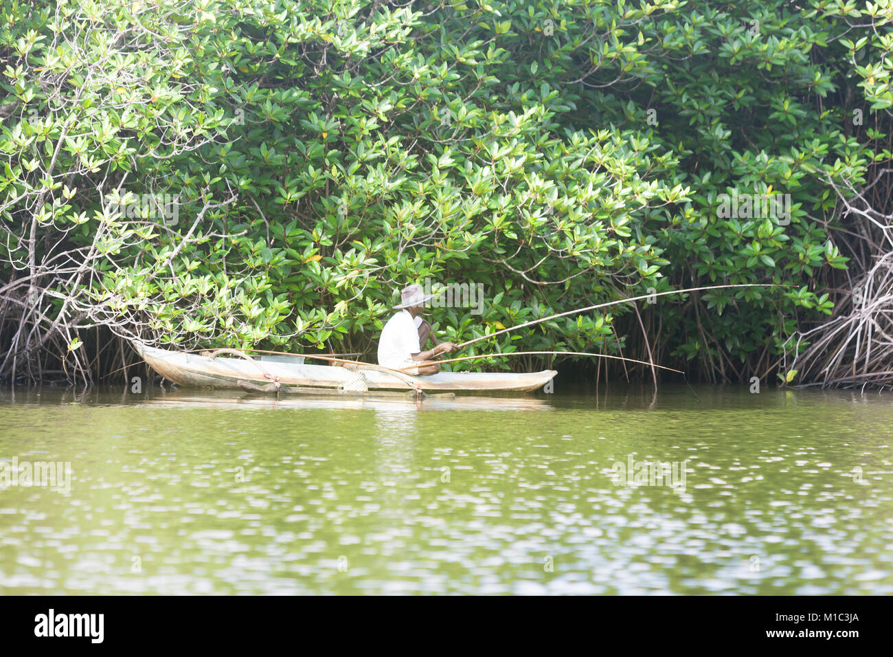 Madu Ganga, Balapitiya, Sri Lanka - DÉCEMBRE 2015 - un vieux pêcheur d'essayer d'attraper quelques poissons sur le lac Maduganga, Asie Banque D'Images