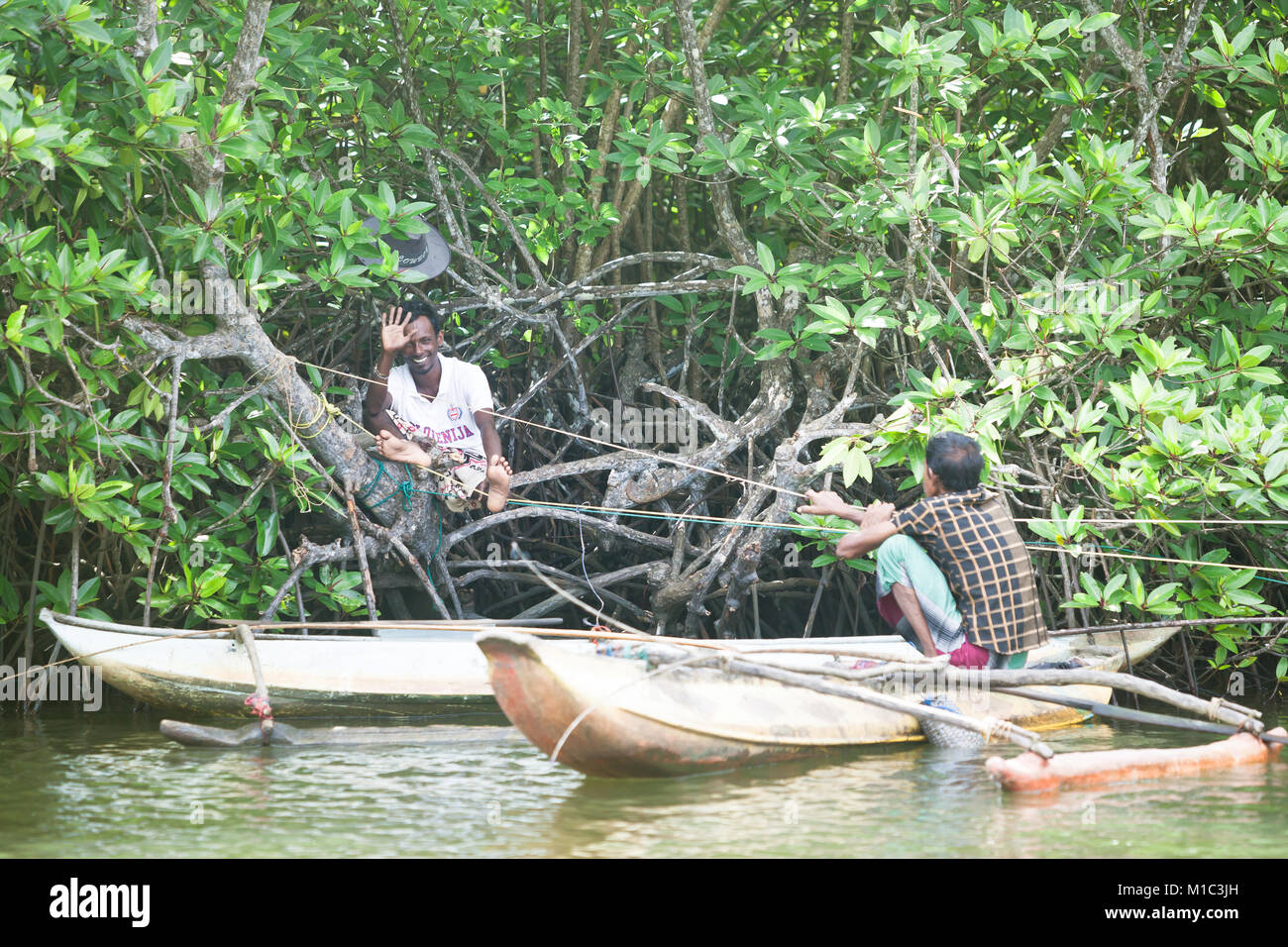 Madu Ganga, Balapitiya, Sri Lanka - DÉCEMBRE 2015 - Deux pêcheurs se détendre dans la mangrooves pendant une pause de travail, de l'Asie Banque D'Images