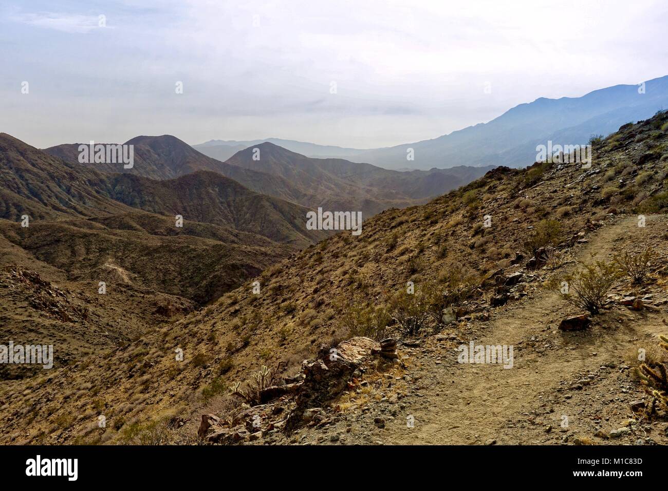 Terrain sec de l'arrière-pays vu de l'Earl Henderson sentier de randonnée à Palm Springs Banque D'Images