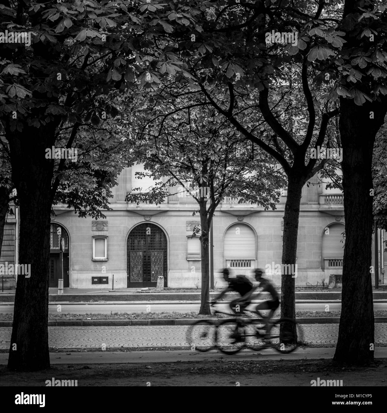 Tourné en noir et blanc de deux personne floue méconnaissable riding bikes sur rue avec arbres Banque D'Images