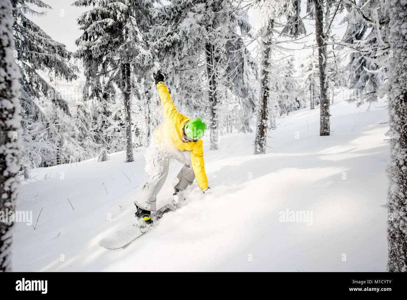 Homme monté sur un snowboard dans la forêt enneigée Banque D'Images