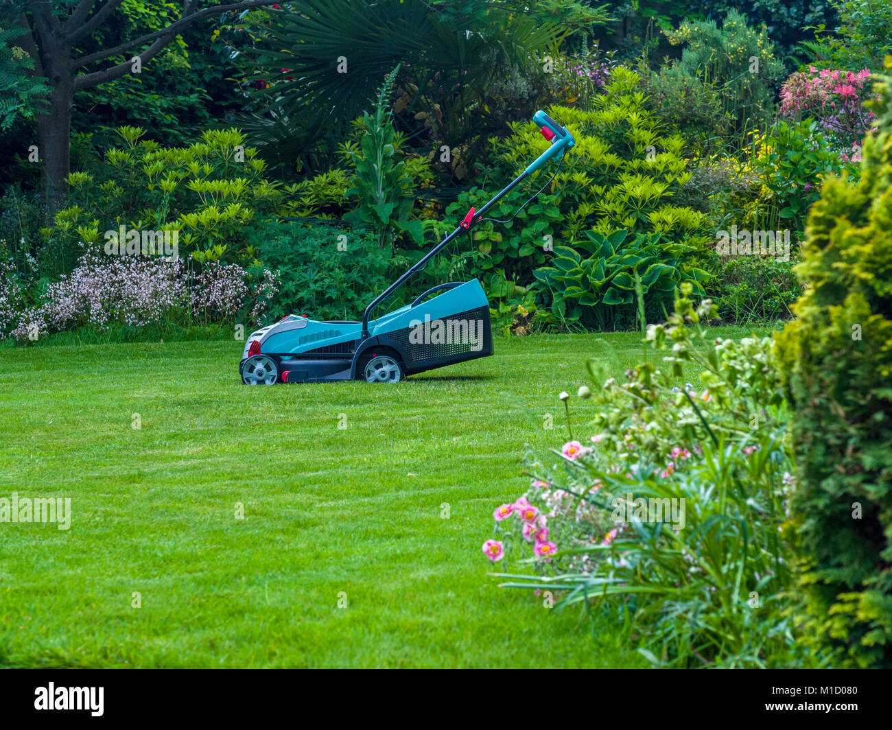 Tondeuse sans fil dans le jardin Banque D'Images