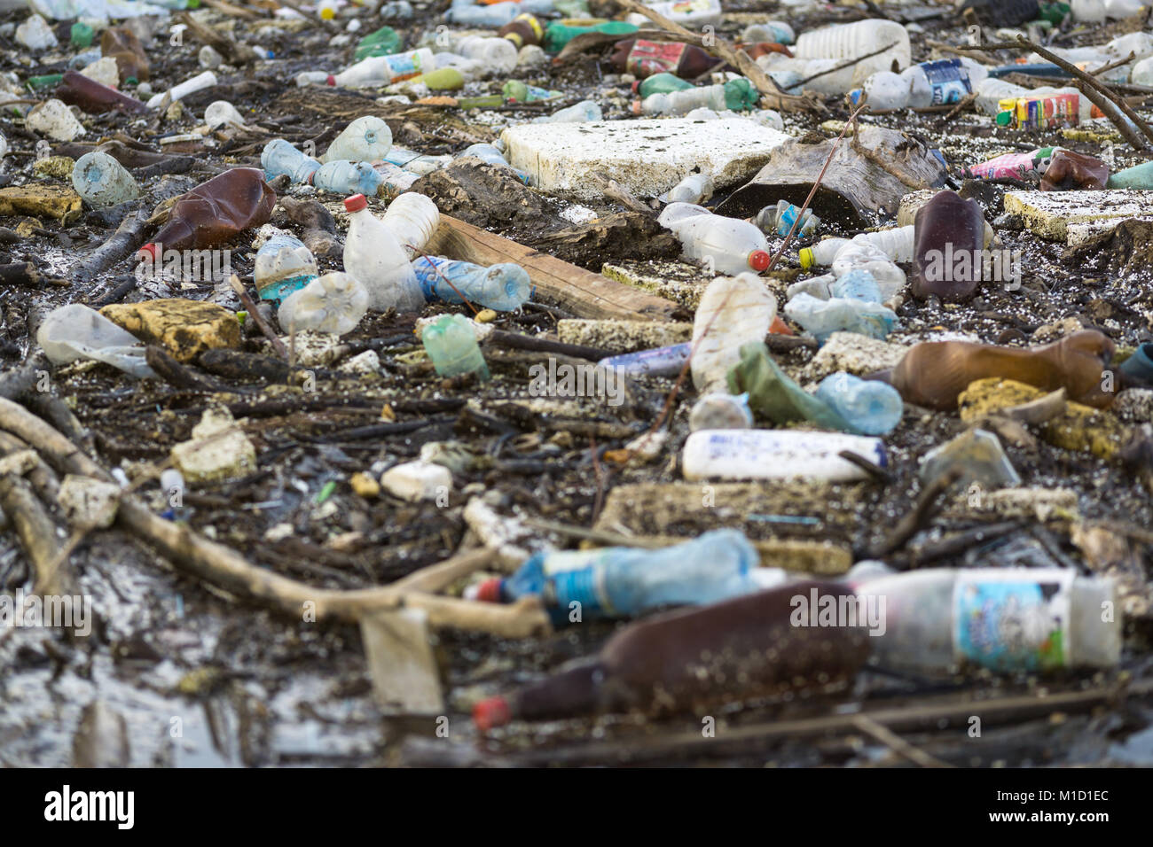 Déchets Plastiques accumulée le long de la rivière. Banque D'Images
