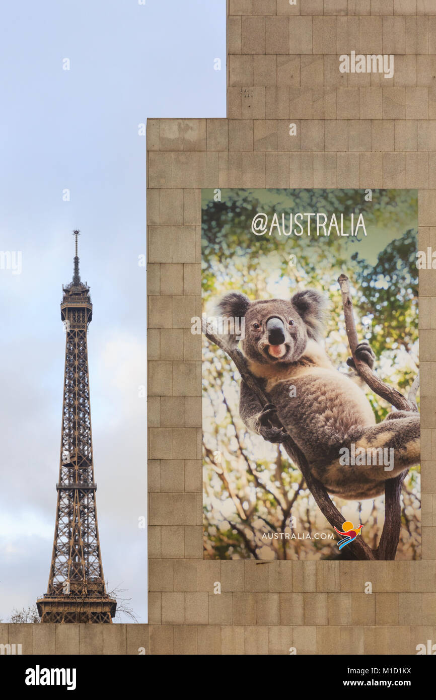 L'Office de Tourisme de l'Australie à Paris annonce leur pays avec une photo d'un koala, avec la Tour Eiffel en arrière-plan, Paris, France Banque D'Images