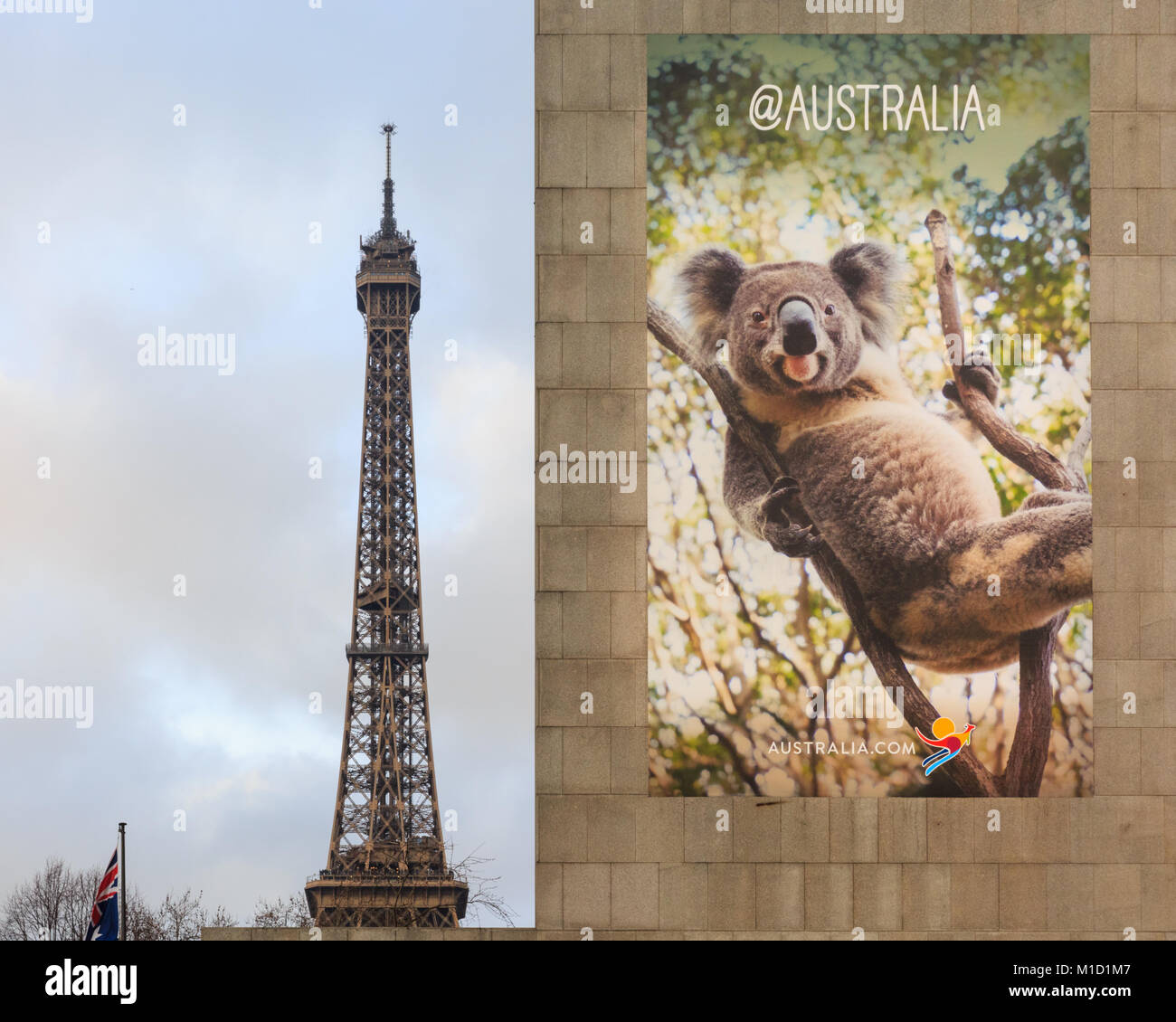 L'Office de Tourisme de l'Australie à Paris annonce leur pays avec une photo d'un koala, avec la Tour Eiffel en arrière-plan, Paris, France Banque D'Images