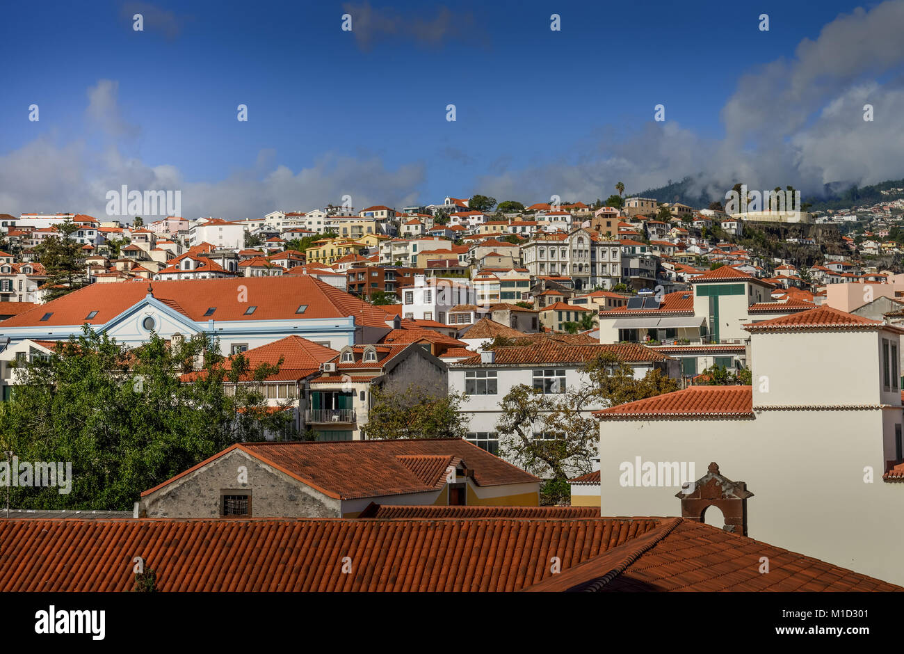 Ville Haute, Funchal, Madeira, Portugal, Oberstadt Banque D'Images