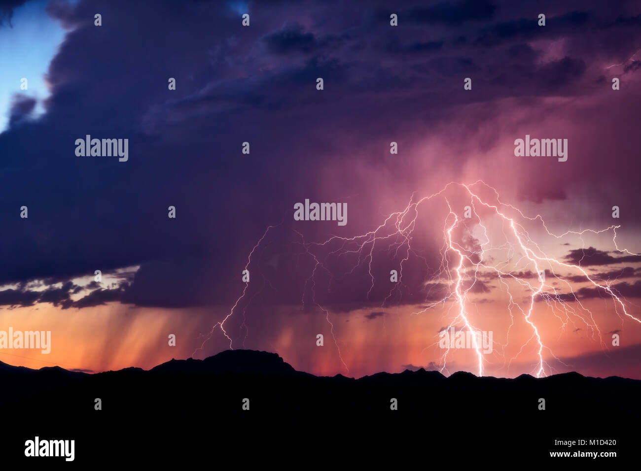 Coup de foudre au coucher du soleil dans un orage au-dessus du désert de l'Arizona Banque D'Images