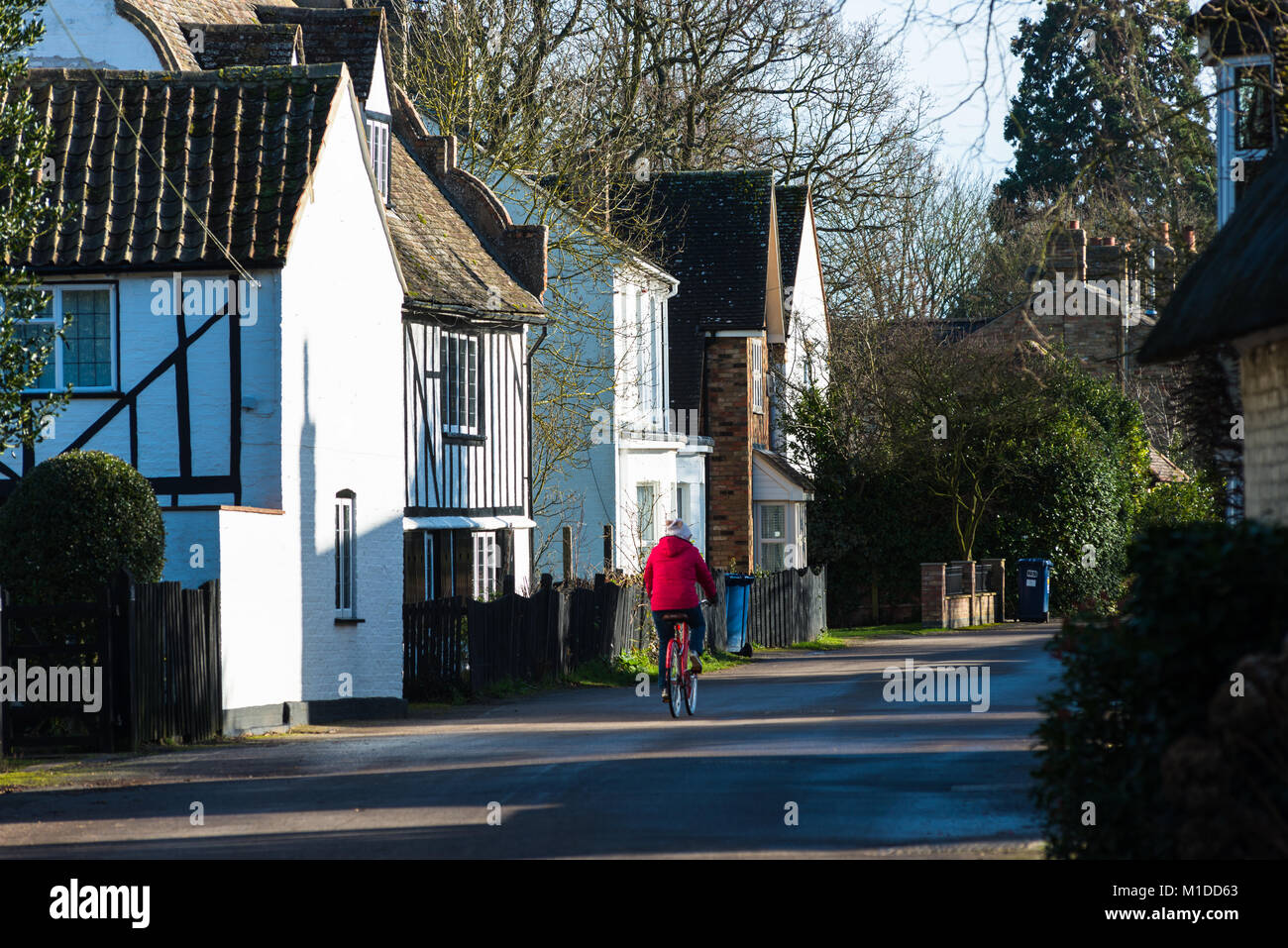 Lignes de caractère chalets à Hemingford Abbots, Cambridgeshire, Angleterre, Royaume-Uni. Banque D'Images