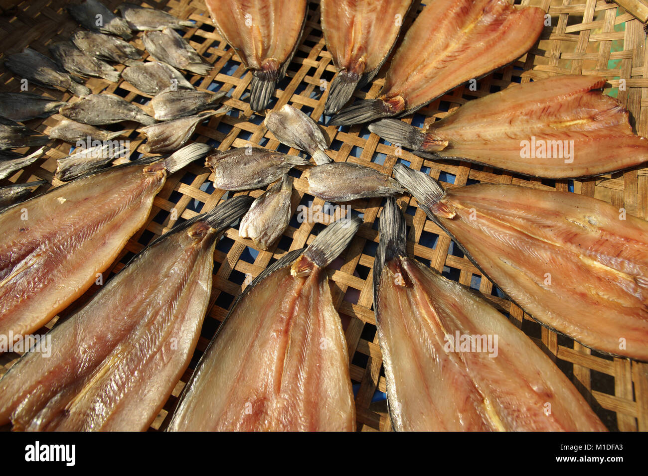 Le poisson séché, le séchage du poisson au soleil pour la conservation des aliments Banque D'Images