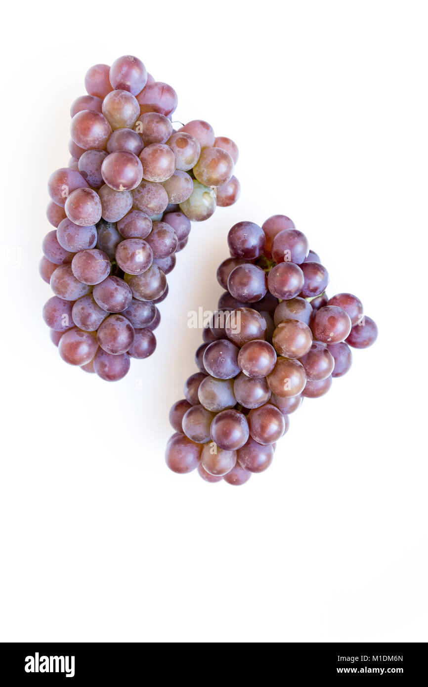 Deux grappes de raisins rouges mûrs isolé sur fond blanc, télévision lay Banque D'Images