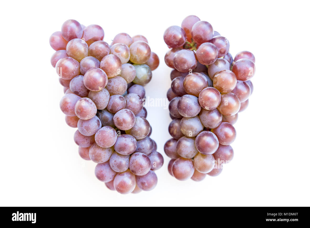 Deux grappes de raisins rouges mûrs isolé sur fond blanc, télévision lay Banque D'Images