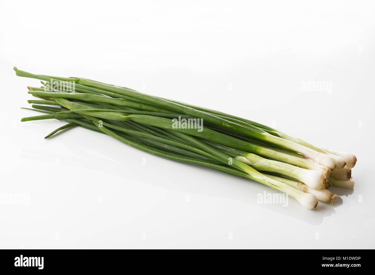 Oignon de printemps vert frais isolé sur fond blanc tourné en studio Banque D'Images