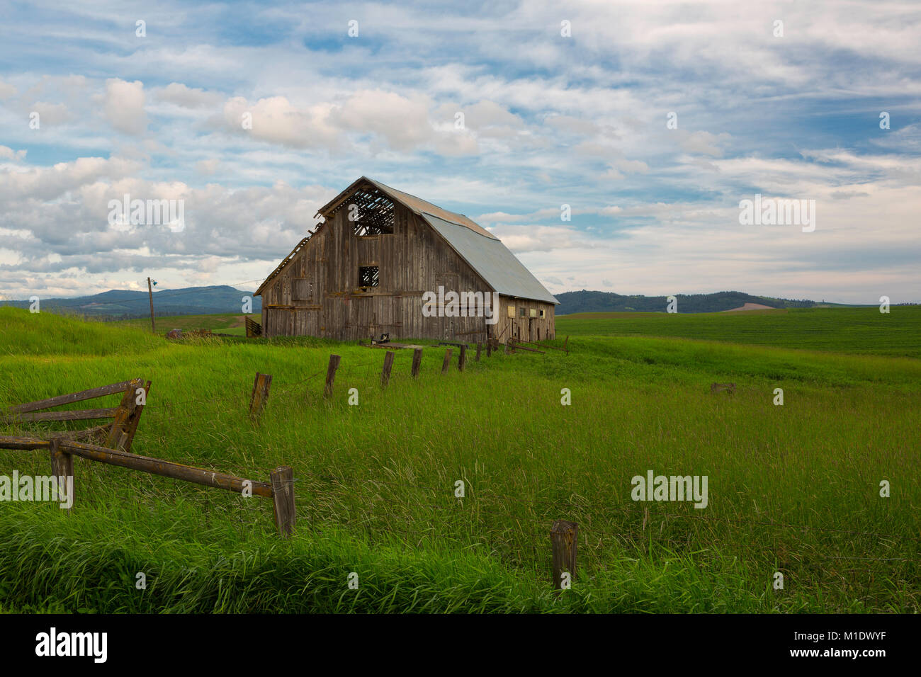 Une grange rustique se trouve dans la région de Palouse Washington au printemps. USA Banque D'Images