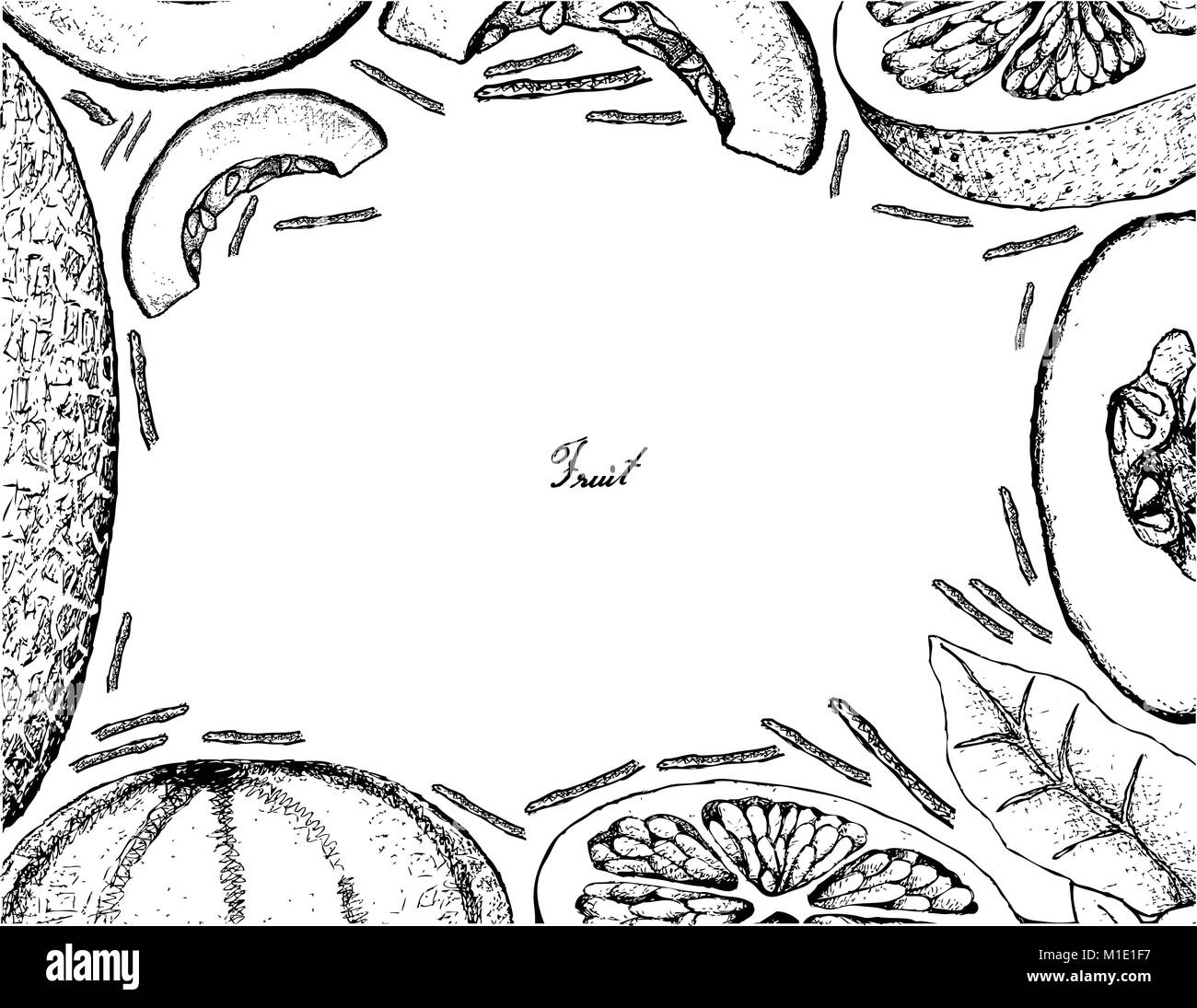 Fruits, Illustration cadre de croquis à la main et de pamplemousse melon cantaloup ou isolé sur fond blanc. Illustration de Vecteur