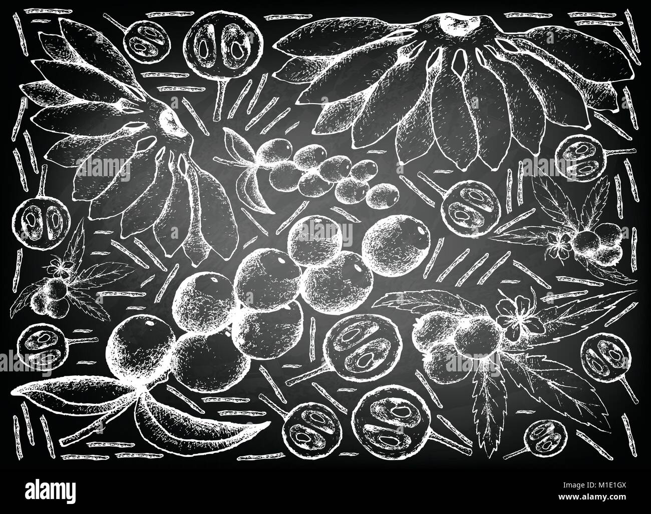 Arrière-plan de fruits, Illustration croquis à main d'Muntingia Muntingea, Camu Camu et Pisang Mas banane sur tableau noir. Illustration de Vecteur