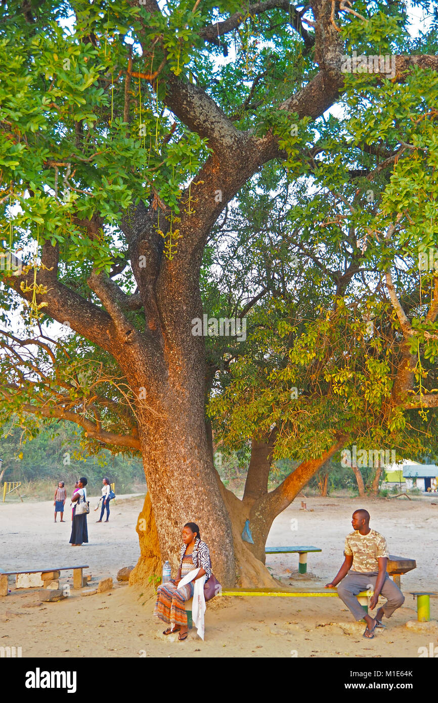 L'homme et de la femme sur l'établi en vertu de l'arbre d'ombrage dans le Parc National des chutes Murchison le long du Nil Victoria en Ouganda. Banque D'Images