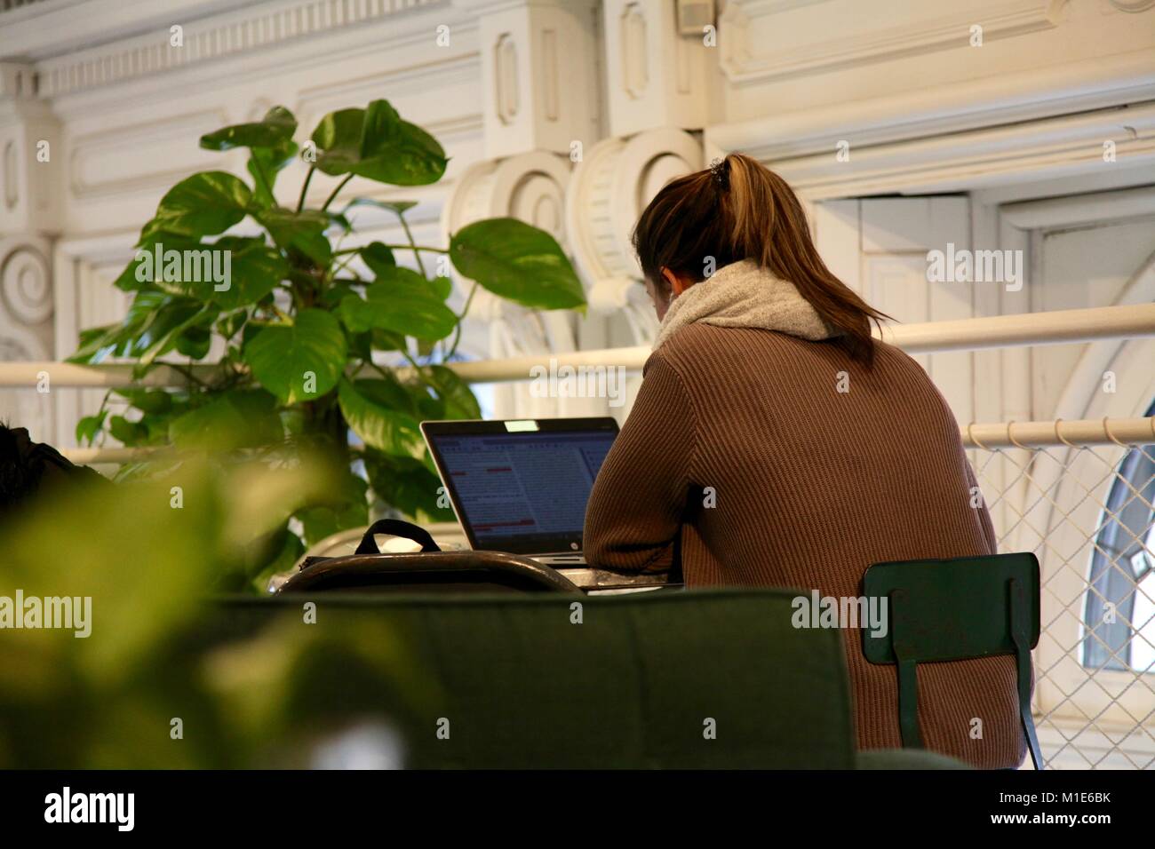 Professional woman working on a laptop in a cafe Banque D'Images