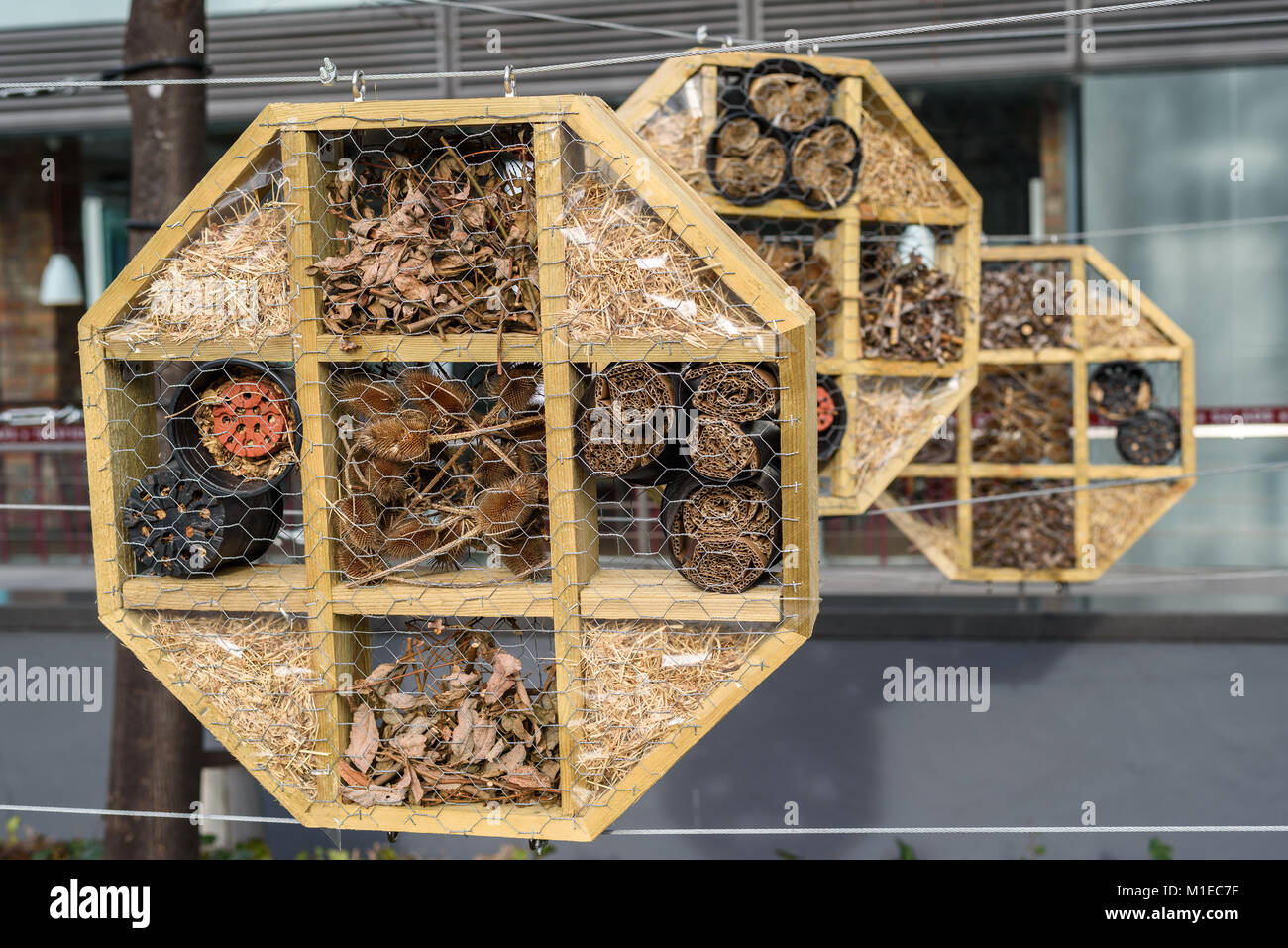 Maison des insectes et abeilles en bois et matières naturelles dans une ville. Banque D'Images