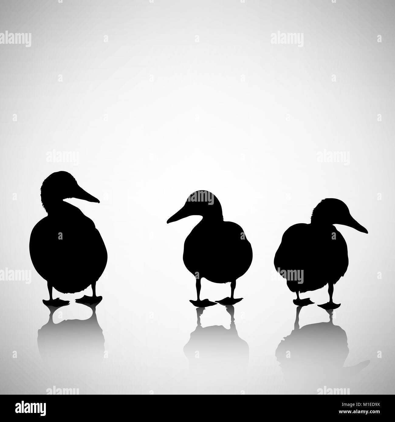 Silhouettes de canards sur un fond clair avec reflet Illustration de Vecteur