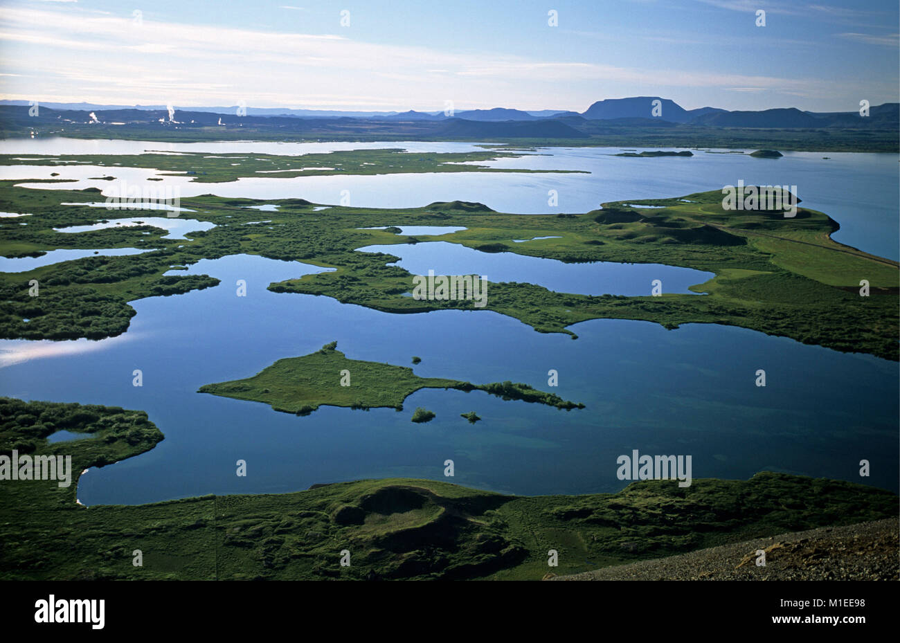 L'Islande. Le lac Myvatn. Pseudo cratères. Banque D'Images