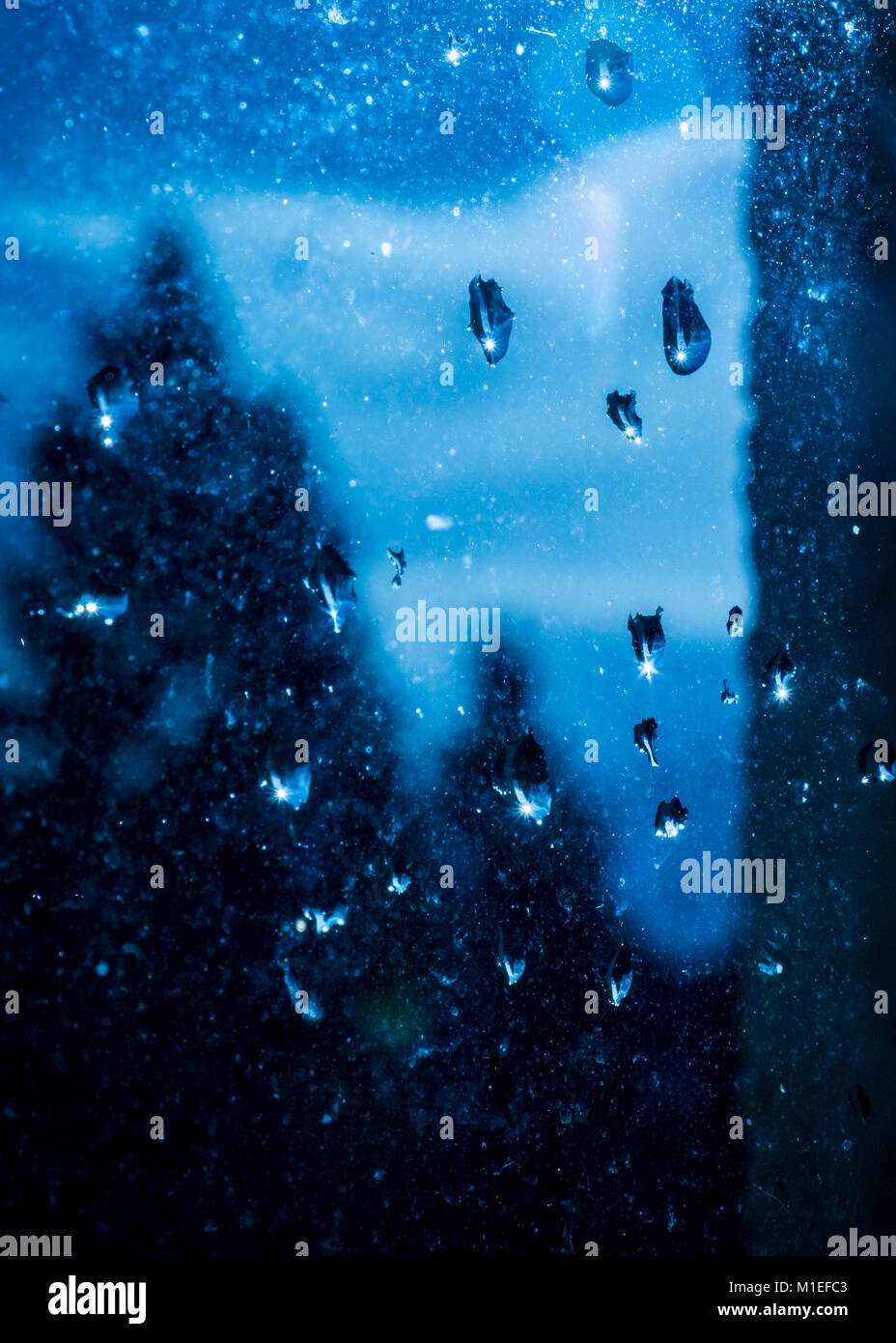 Gouttes de pluie sur une vitre sale (plutôt). Le bleu ciel dramatique dans l'arrière-plan. Avec la réflexion des arbres dans le droplet. Banque D'Images